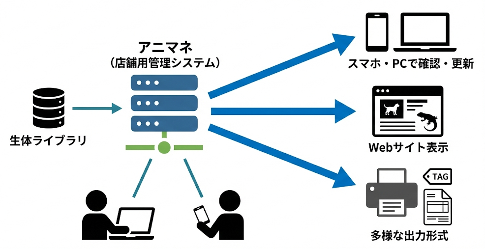 システムフロー図